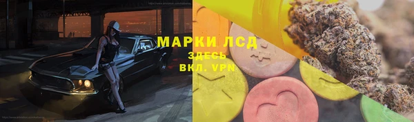 мяу мяу мука Беломорск