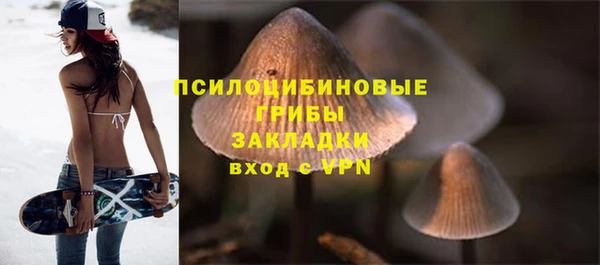 дмт Белокуриха