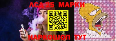 a pvp Ставрополь