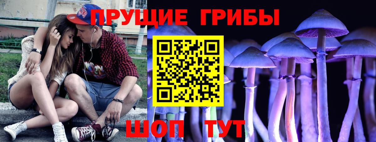 Псилоцибиновые грибы мухоморы  хочу наркоту  Заречный 