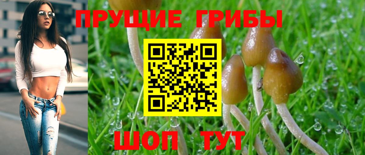 Псилоцибиновые грибы ЛСД Заречный