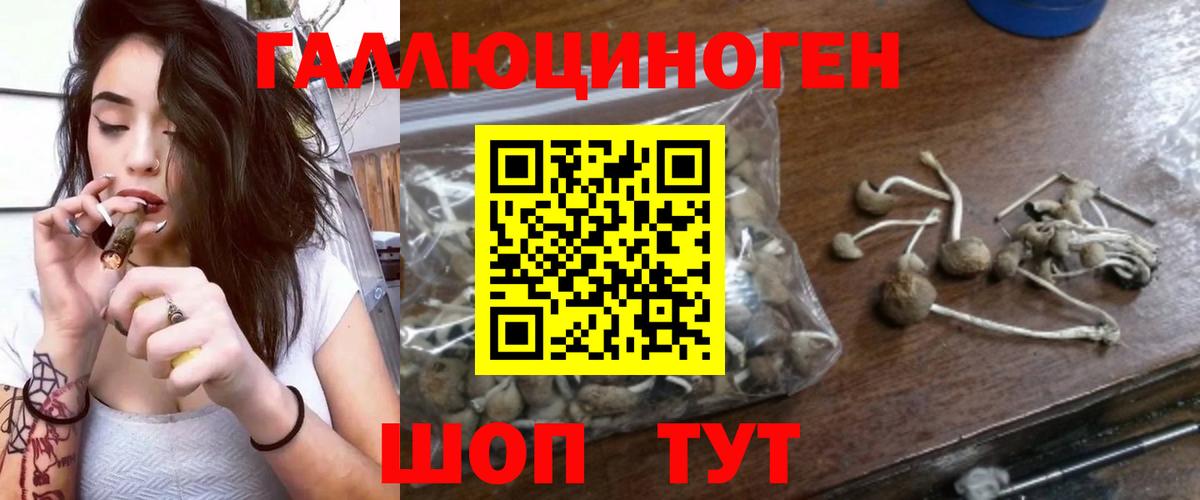 Галлюциногенные грибы GOLDEN TEACHER  Псилоцибиновые грибы GOLDEN TEACHER  Вход с VPN  Заречный 